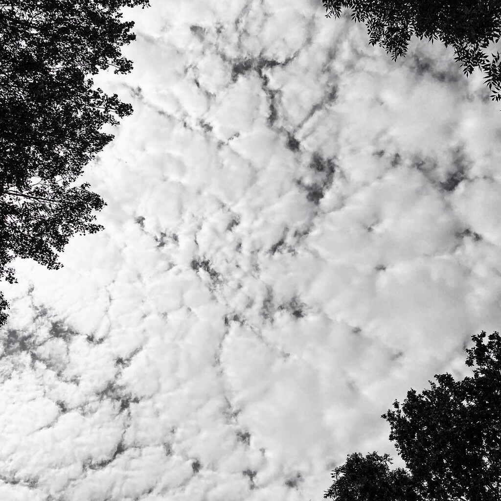 cloud cover by cam365pix