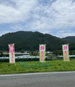 14th Jul 2023 - Peach in Okayama