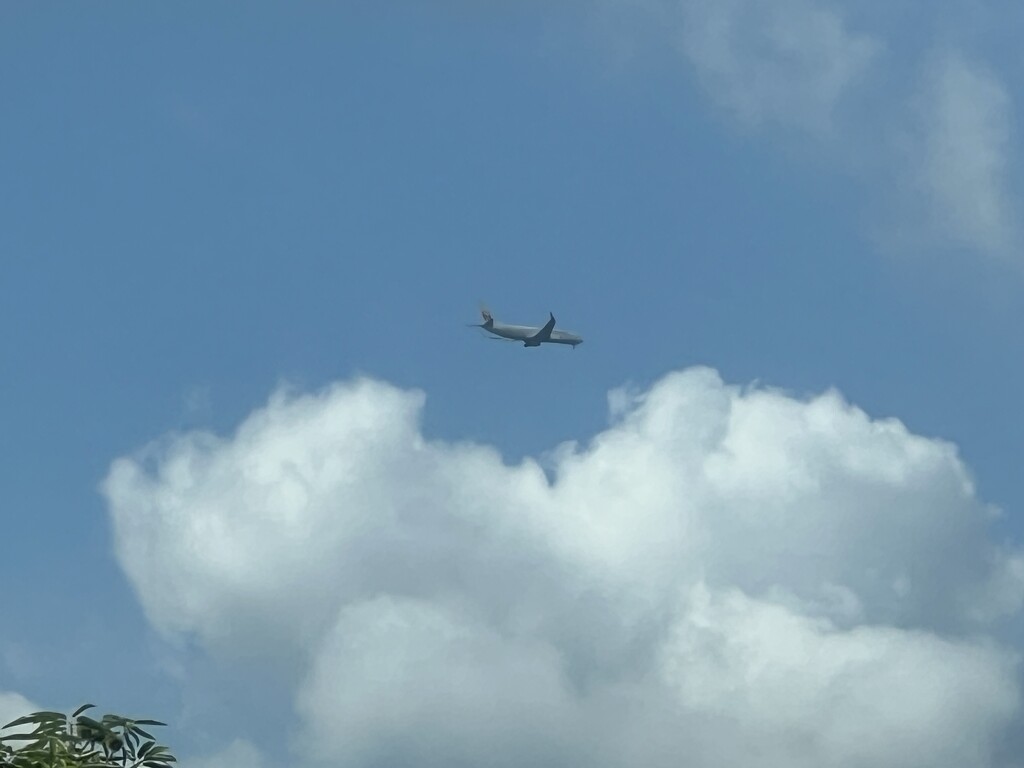 Airplane flying through by 520
