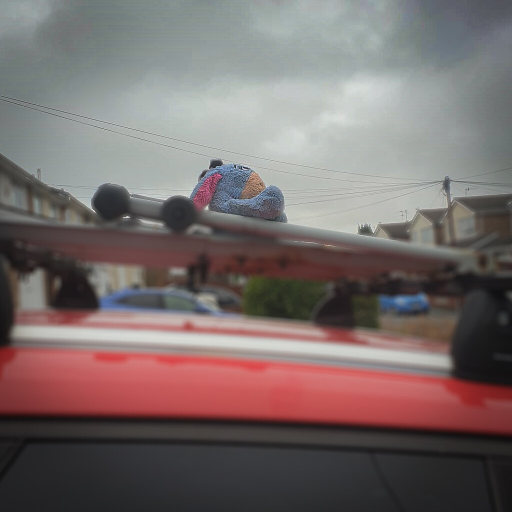 Who left Eeyore on my roof rack? by andyharrisonphotos