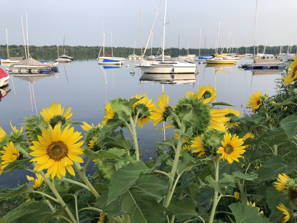 Lake Harriet, Minnesota by loweygrace