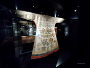18th Jul 2023 - Dress made of fish skin