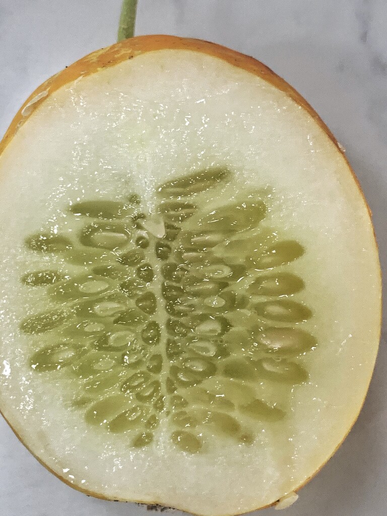 Crystal Lemon Cucumber by happypat