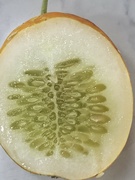 22nd Jul 2023 - Crystal Lemon Cucumber