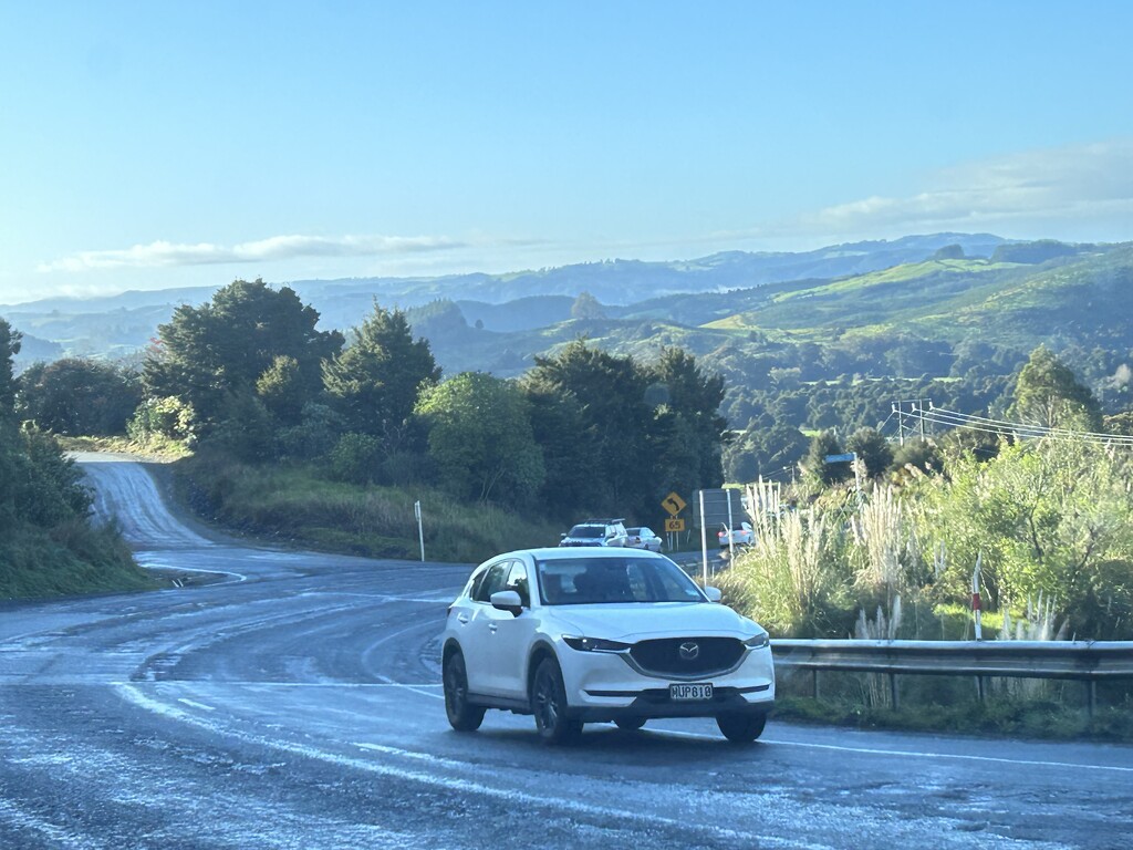 On the road to Whangārei another hospital appt pre admit , removal of a parathyroids it’s getting closer  by Dawn