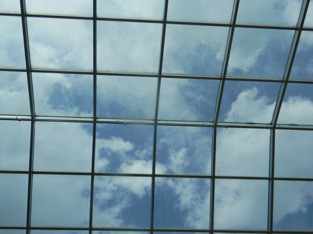 Windows at Crabtree Valley Mall  by sfeldphotos
