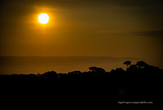 21st Jul 2023 - Sunrise over Falmouth - Cornwall