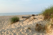 23rd Jul 2023 - A final beach picture