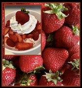 23rd Jul 2023 - Strawberry Delight
