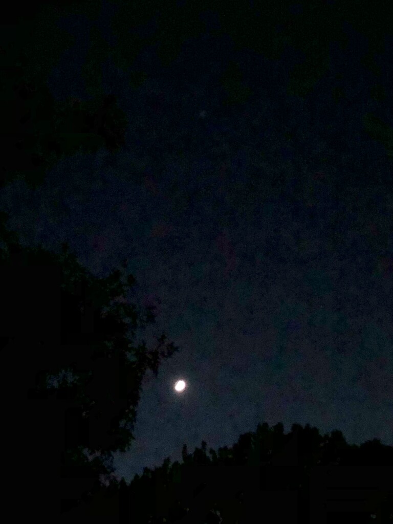 Phone shot of a crescent Moon by metzpah