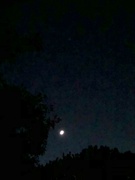 22nd Jul 2023 - Phone shot of a crescent Moon