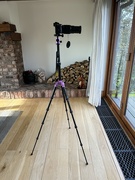 24th Jul 2023 - My first tripod 