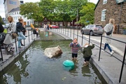 24th Jul 2023 - Playing in the river