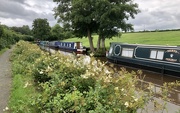 24th Jul 2023 - The Brecon and Monmouth Canal