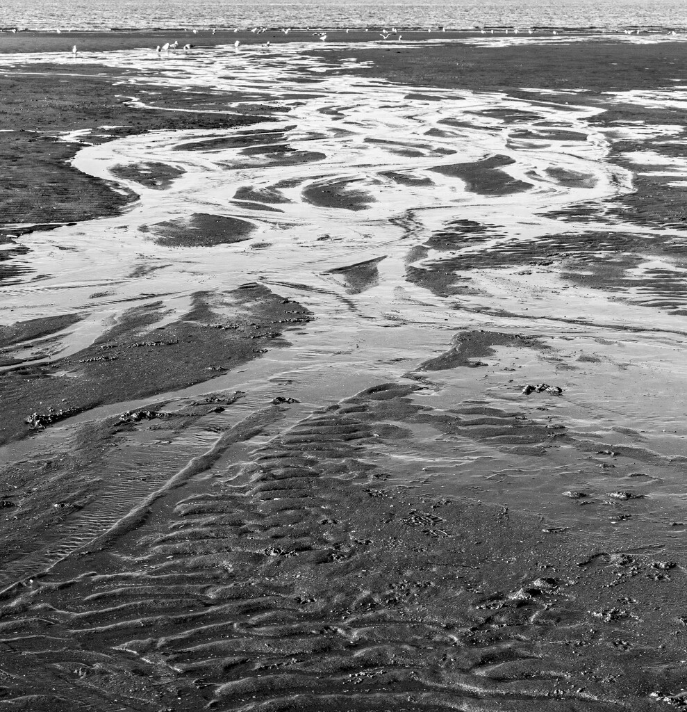 The art of an ebbing tide II by dulciknit