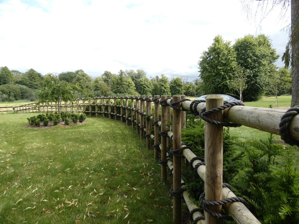 Unusual Fence by foxes37
