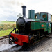 Steam Train by pcoulson
