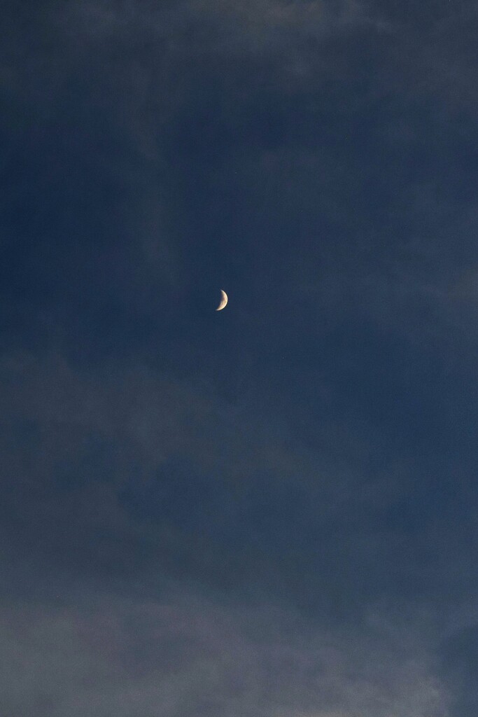 Jul 23 Moon sliver by sandlily