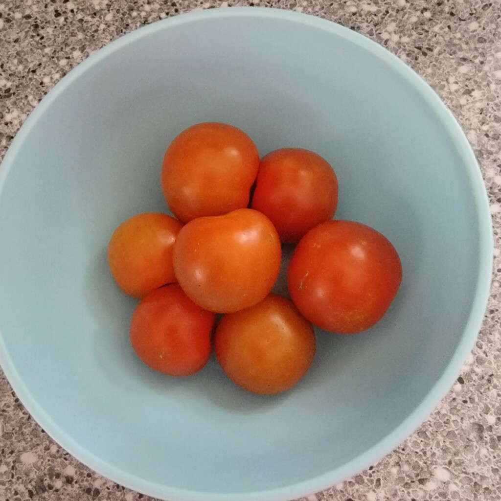 Cherry Tomatoes 2023 by shesays