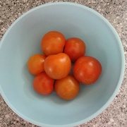 23rd Jul 2023 - Cherry Tomatoes 2023