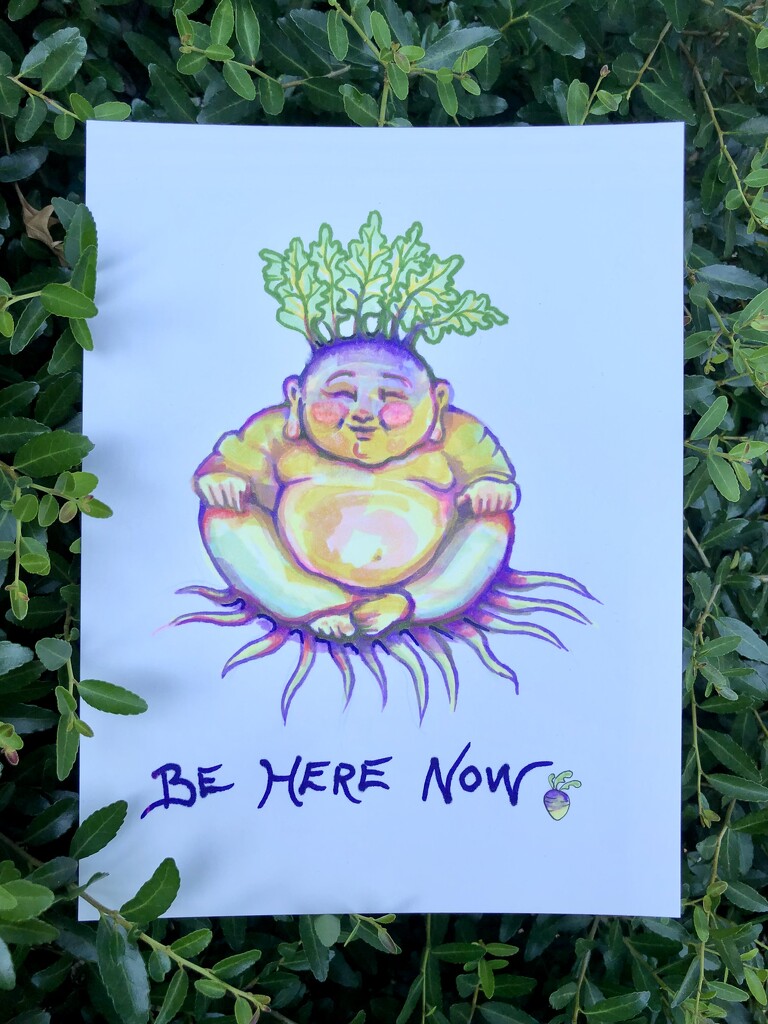 Be Here Now Turnip by metzpah