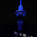 Sky Tower by 365projectorgchristine