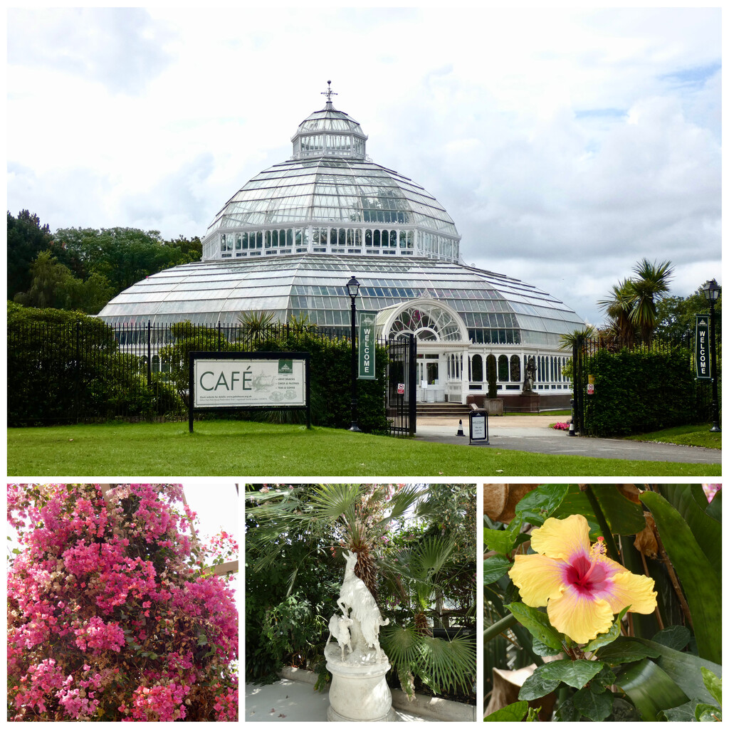 The Palm House Sefton Park Liverpool by foxes37
