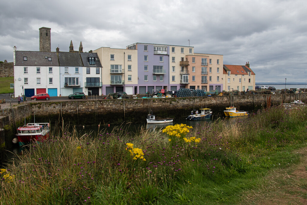 The harbour, St Andrews….. by billdavidson