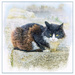 Rhodes Wall Cat by gardencat