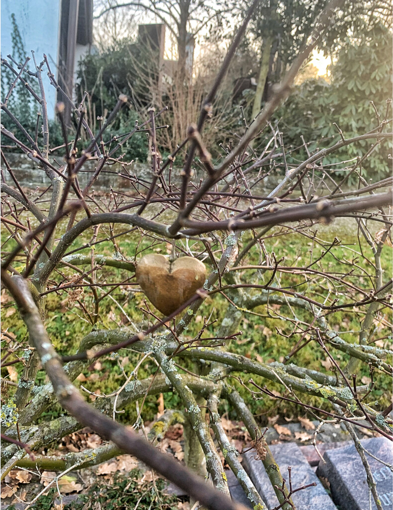 Heart on a branch.  by cocobella