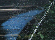 19th Jul 2023 - The Sprinkler and the Puddle