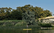 25th Jul 2023 - Another Happy Paddler