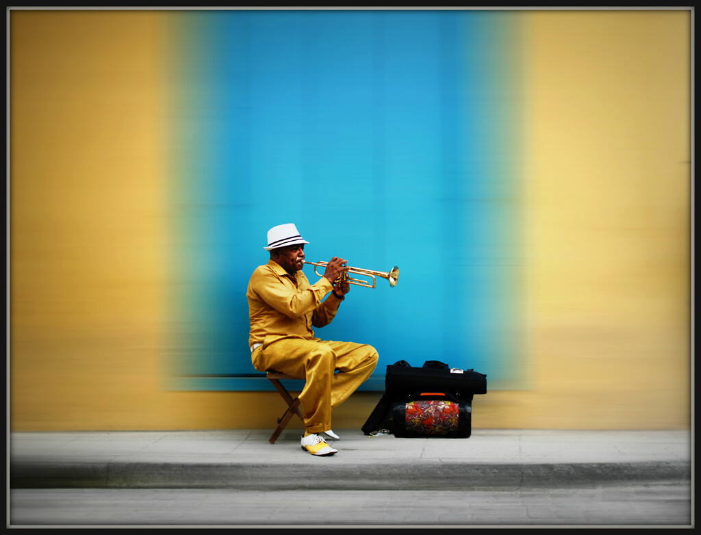 The musician by ludwigsdiana