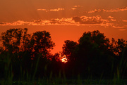 24th Jul 2023 - Another Baker Wetlands Sunset