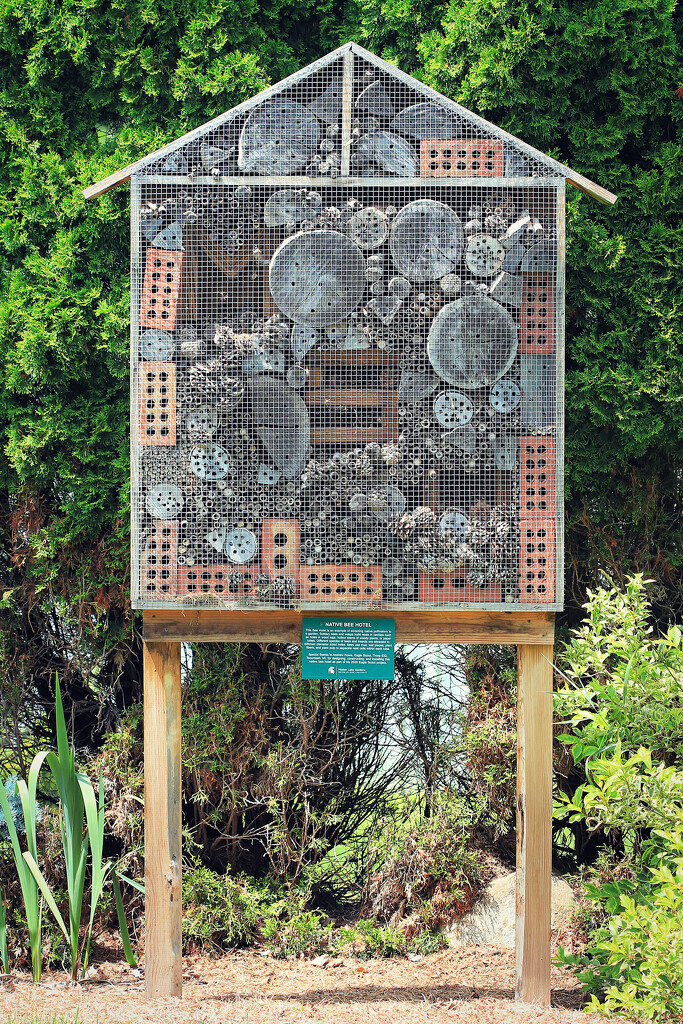 Bee Hotel by juliedduncan