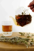 27th Jul 2023 - Greek Mountain Tree Tea