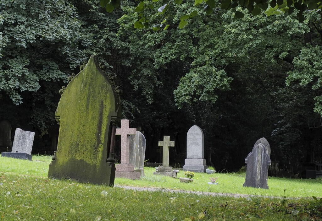 27 July - St Marks Churchyard by delboy207