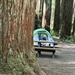 Camping at Florence Keller Redwoods by pandorasecho