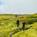 Iceland is so green by yaorenliu