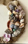 27th Jul 2023 - Favorite seashells made in a wreath