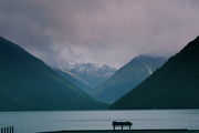 17th Jul 2023 - Lake Rotoiti view 