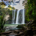 Whangarei falls by christinav