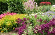 28th Jul 2023 - Colourful Garden