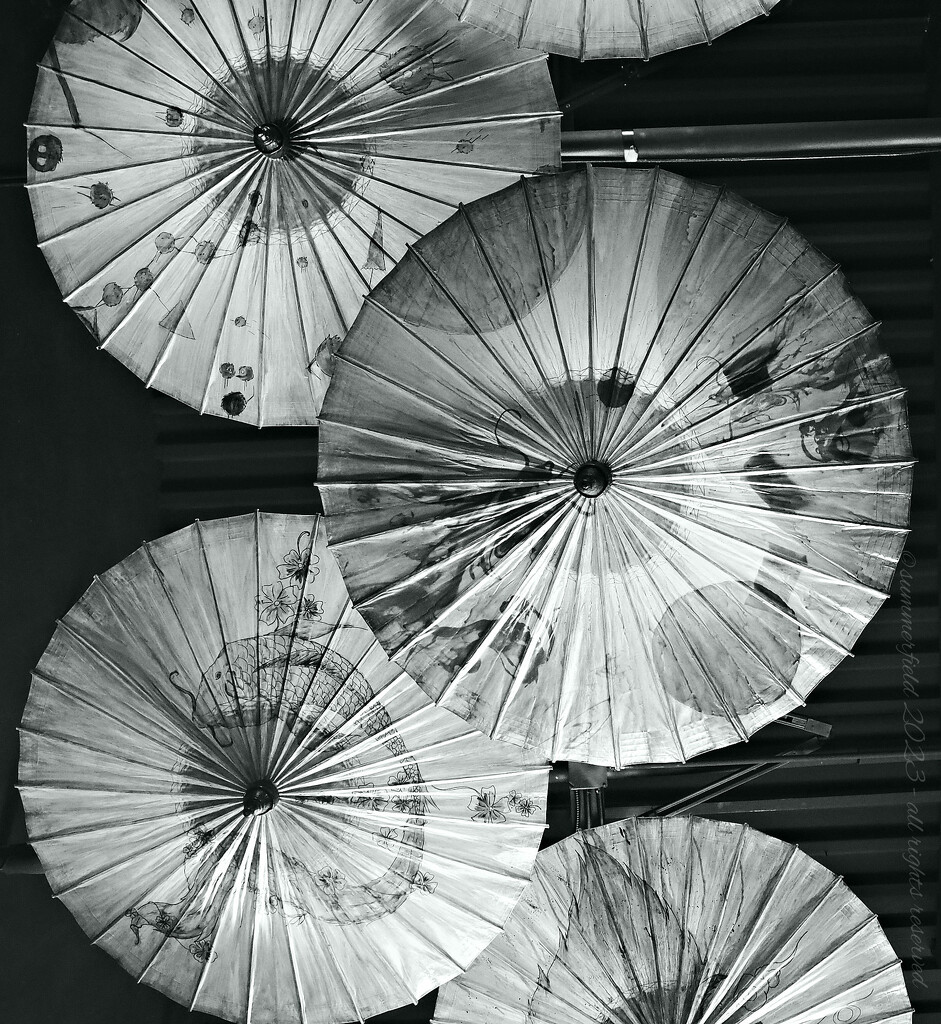 parasol by summerfield