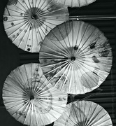 28th Jul 2023 - parasol