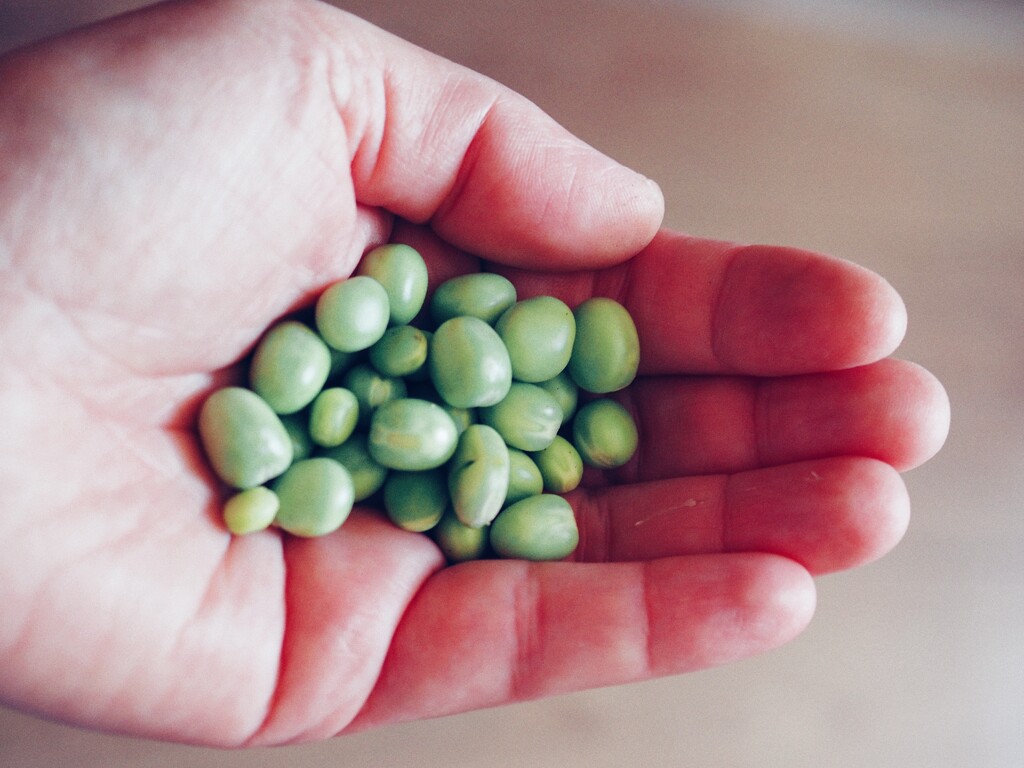 ... and there were peas by monikozi