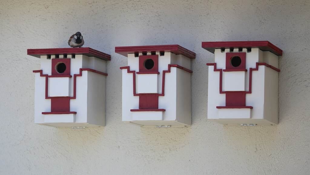 FLW birdhouses by ellene
