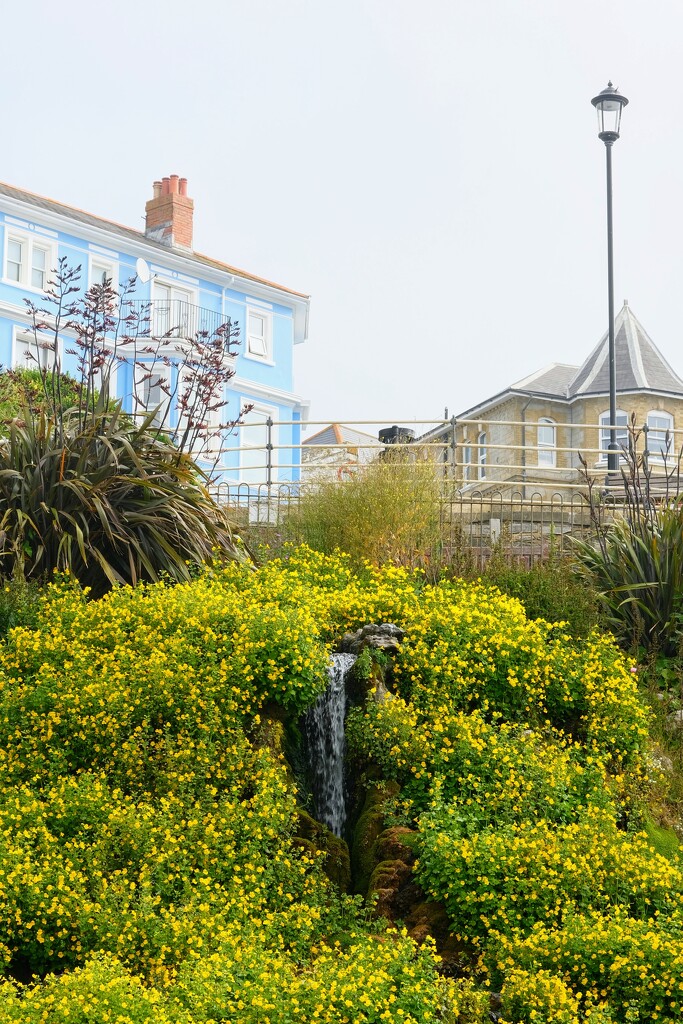 Ventnor Winter Gardens by 4rky