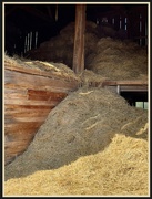 29th Jul 2023 - Hay in the Barn