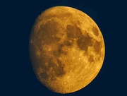 29th Jul 2023 - Moon 